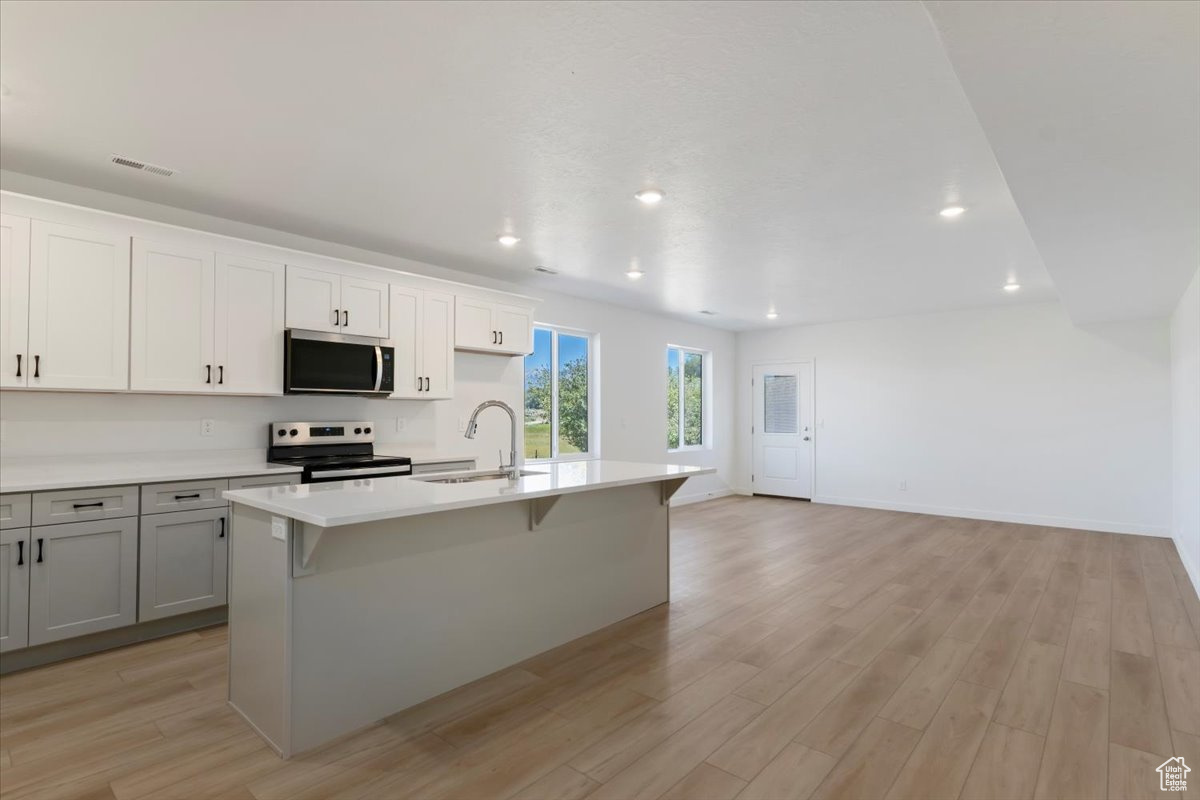 NORTH LAKE MEADOWS - Residential