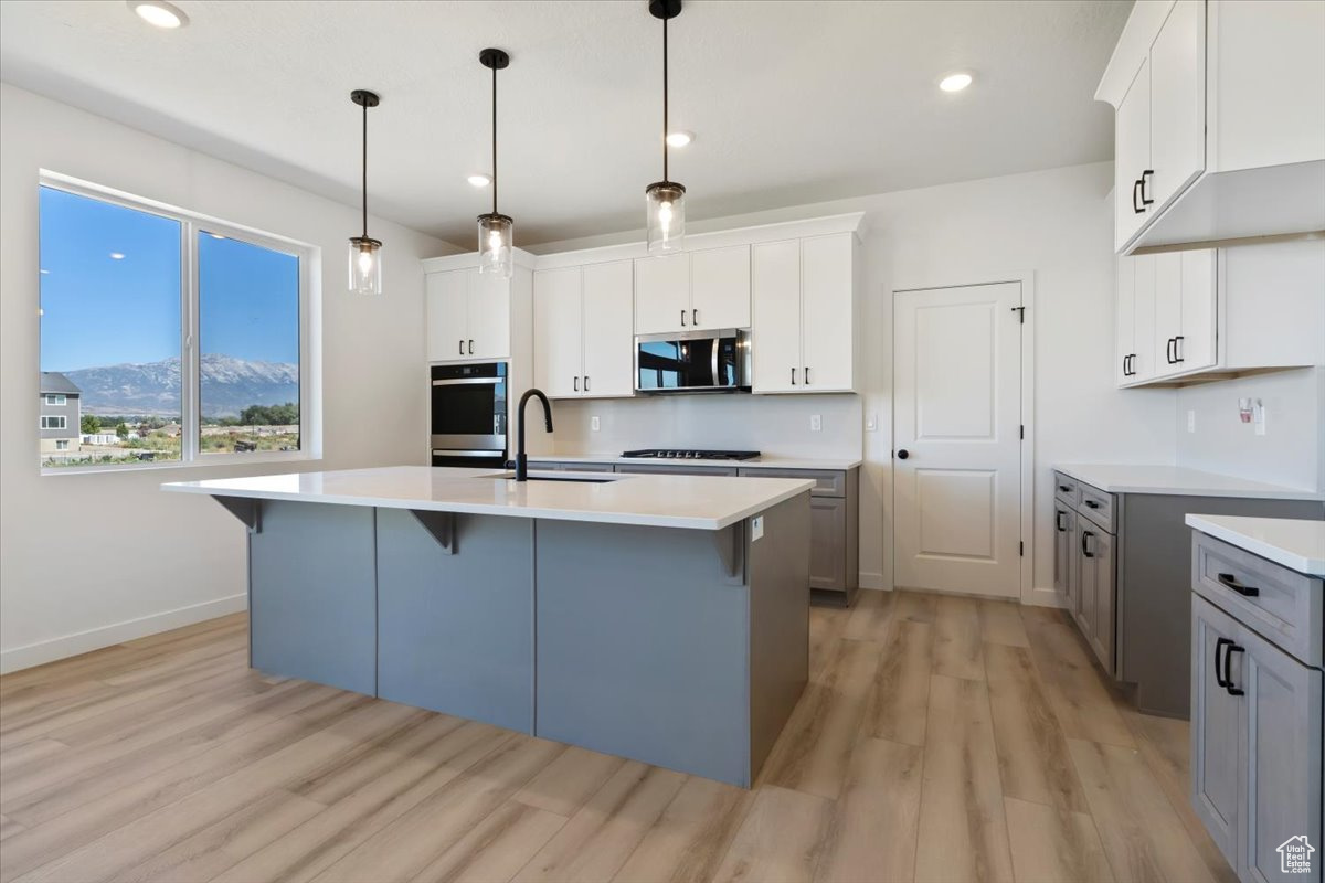 NORTH LAKE MEADOWS - Residential