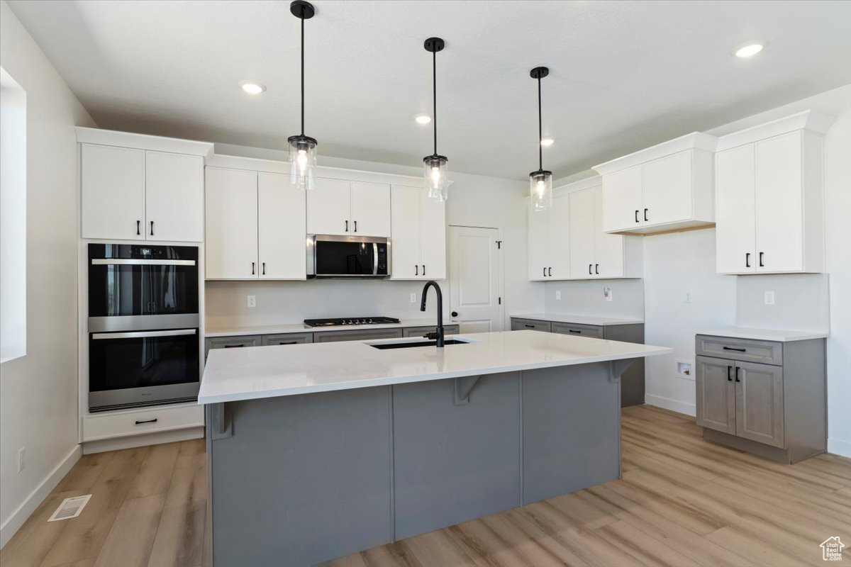 NORTH LAKE MEADOWS - Residential