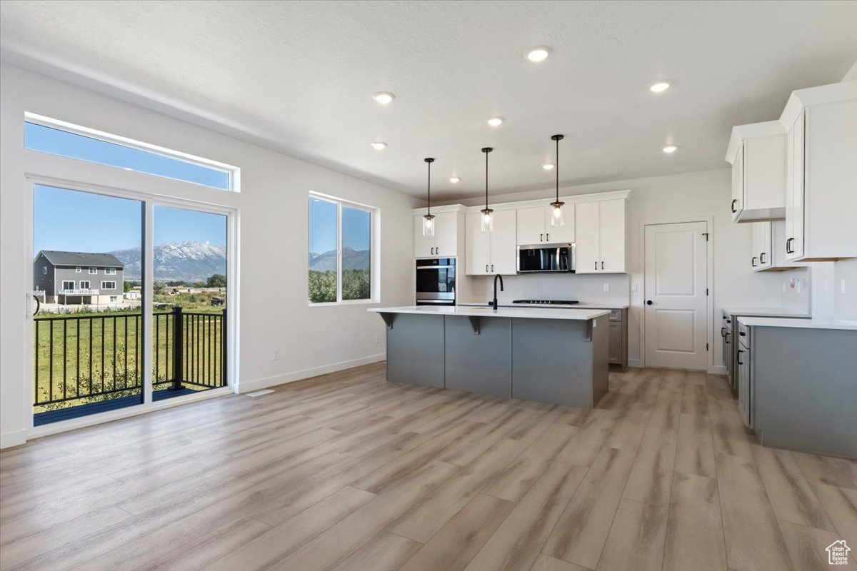 NORTH LAKE MEADOWS - Residential