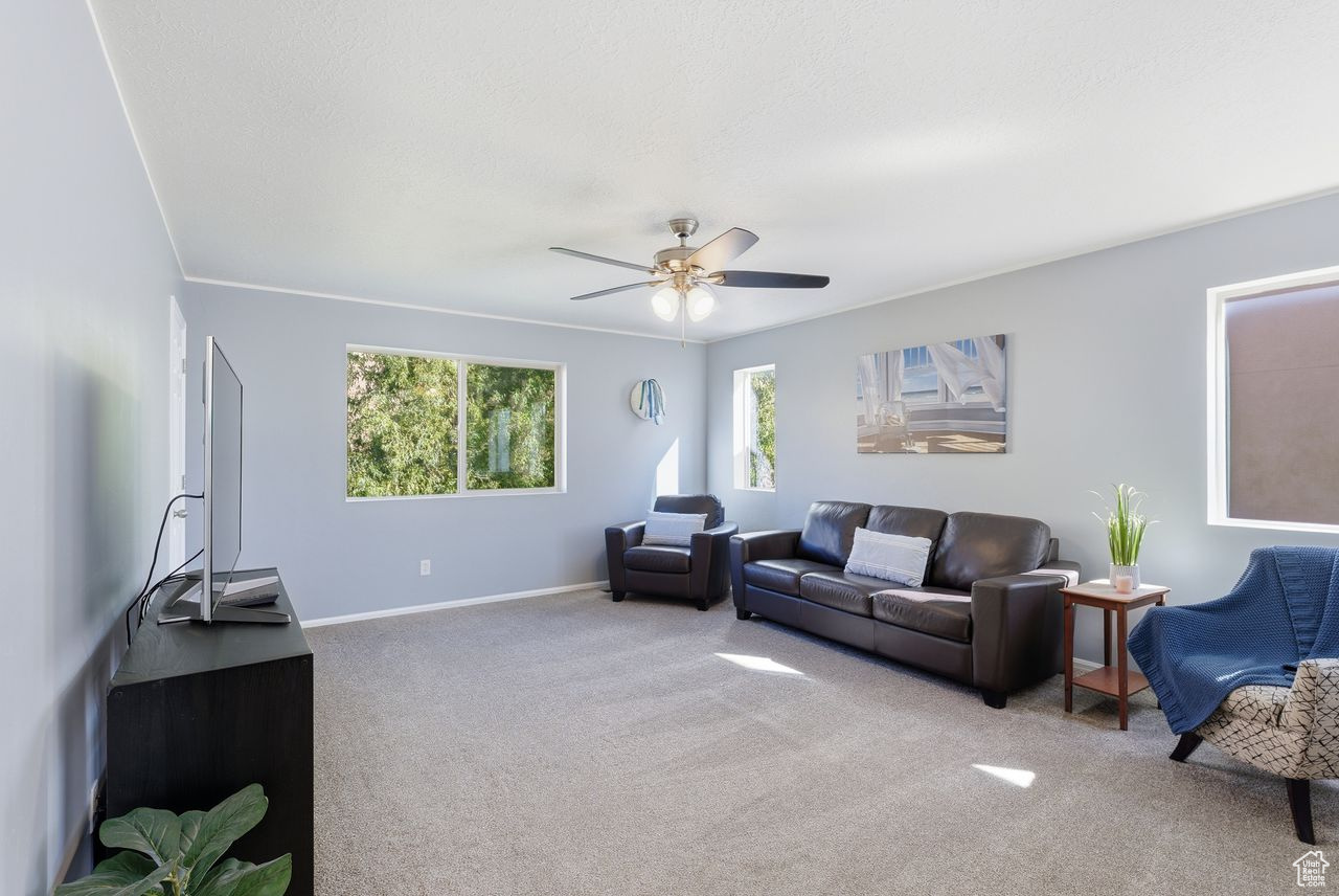 MAPLE HOLLOW -SUNCREST - Residential