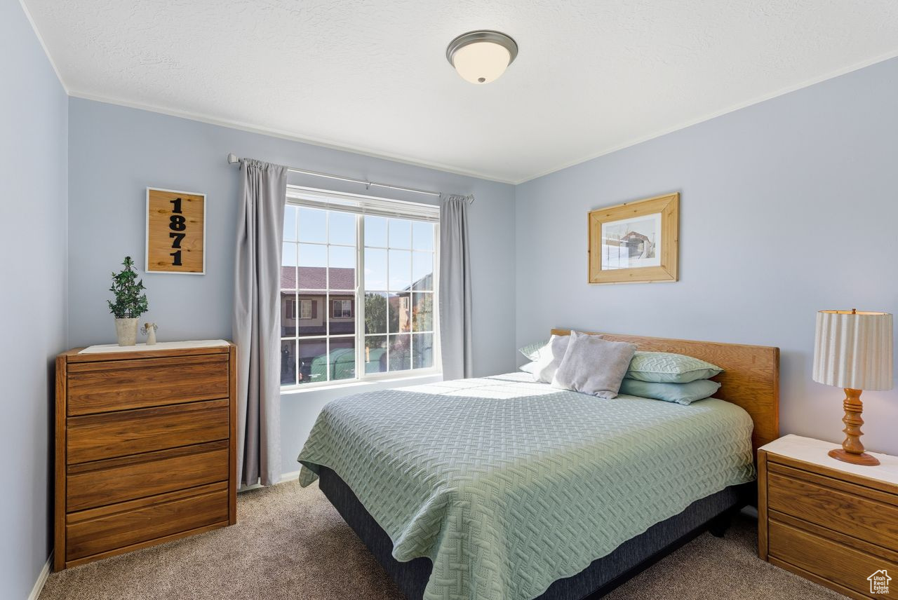 MAPLE HOLLOW -SUNCREST - Residential