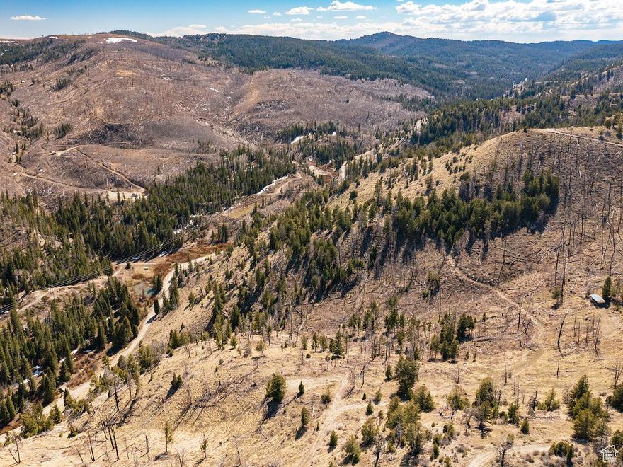 ARGYLE CANYON!!! 9000 feet elevation!!!  Creek front on the Argyle Creek at the bottom of the property!  Pines and Quakies!  32.94 Mountain Acres just east of Bear Claw!  County road access.  It is a dirt road and great for miles of back road adventure!!  Winter access by snowmobile.  County does not maintain it in the winter months.  Completely off grid!  No public utilities available! Just pristine nature!  It is steep elevation with a dirt road to the top of the mountain.  Incredible views!  Lots of wildlife including deer, elk, and occasional  moose, bear, and cougar.  Cell service is spotty! Come enjoy!!!
