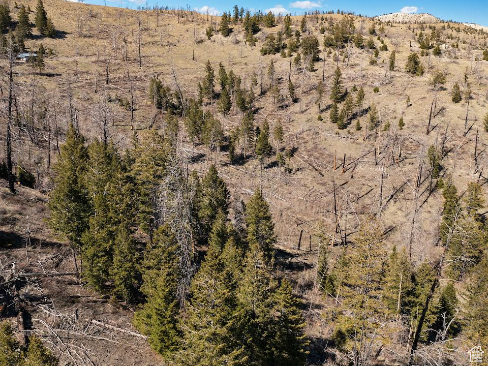 Land, Duchesne, Utah image 11