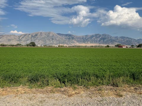 Vacant Land For Sale - 9230 N 6000 #6<br/> Tremonton, UT 84337