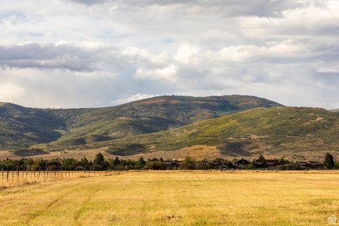 Tiny photo for 396 W ROB YOUNG LN, Oakley, UT 84055 (MLS # 2111307)