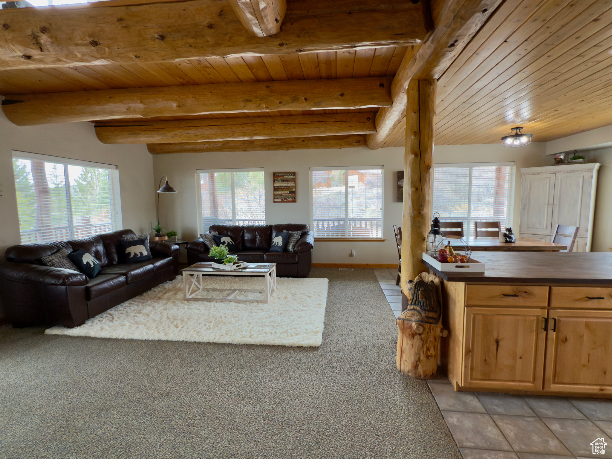 272 Clark Ave, Fish Haven, Idaho image 9