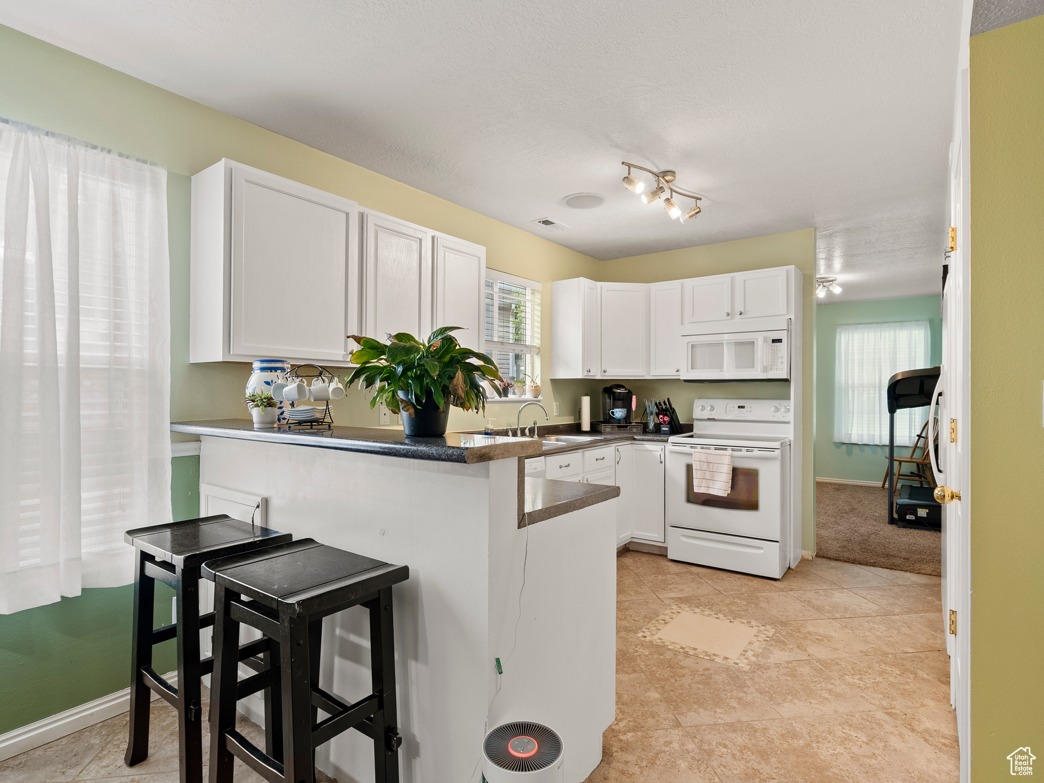 ASH POINT AT SADDLE ROCK RANCH - Residential