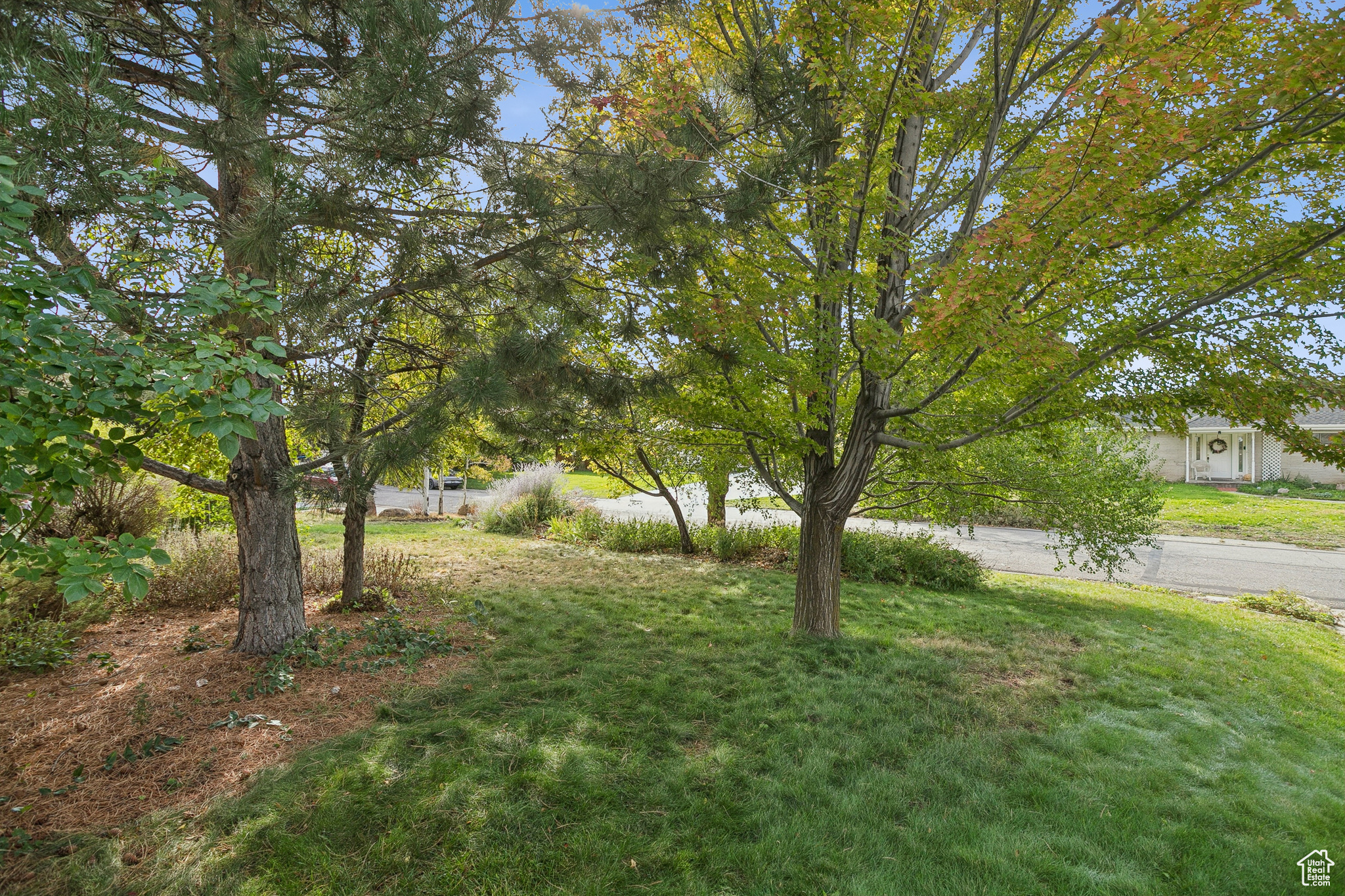 EASTWOOD HILLS - Residential