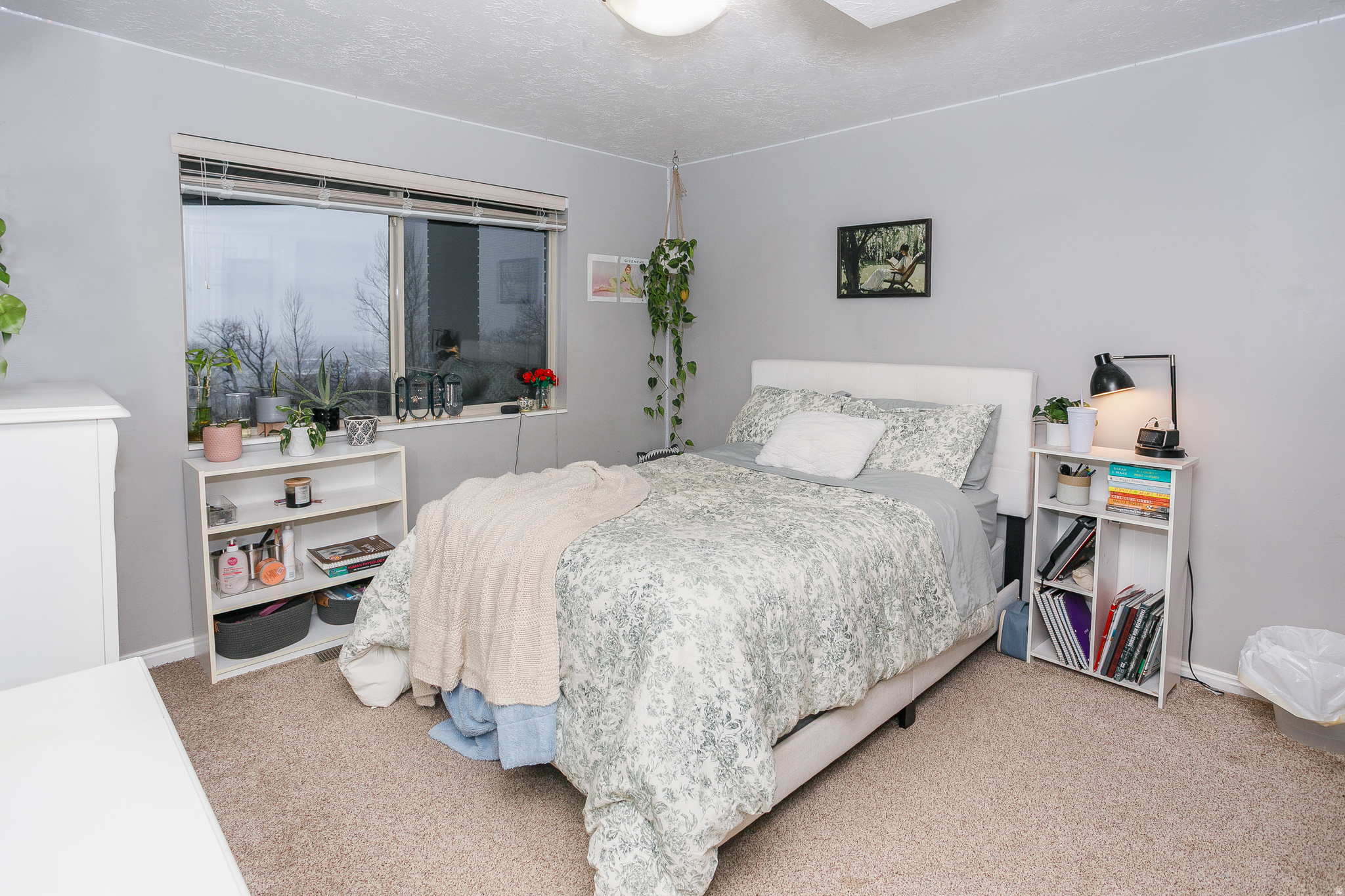 WOODLAND SPRINGS - Residential