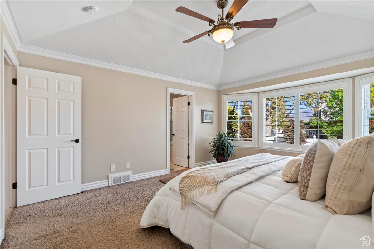 COVE ESTATES - Residential