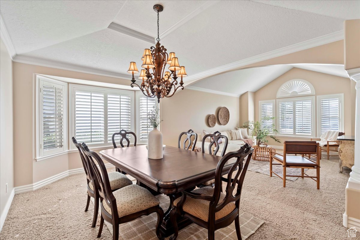 COVE ESTATES - Residential