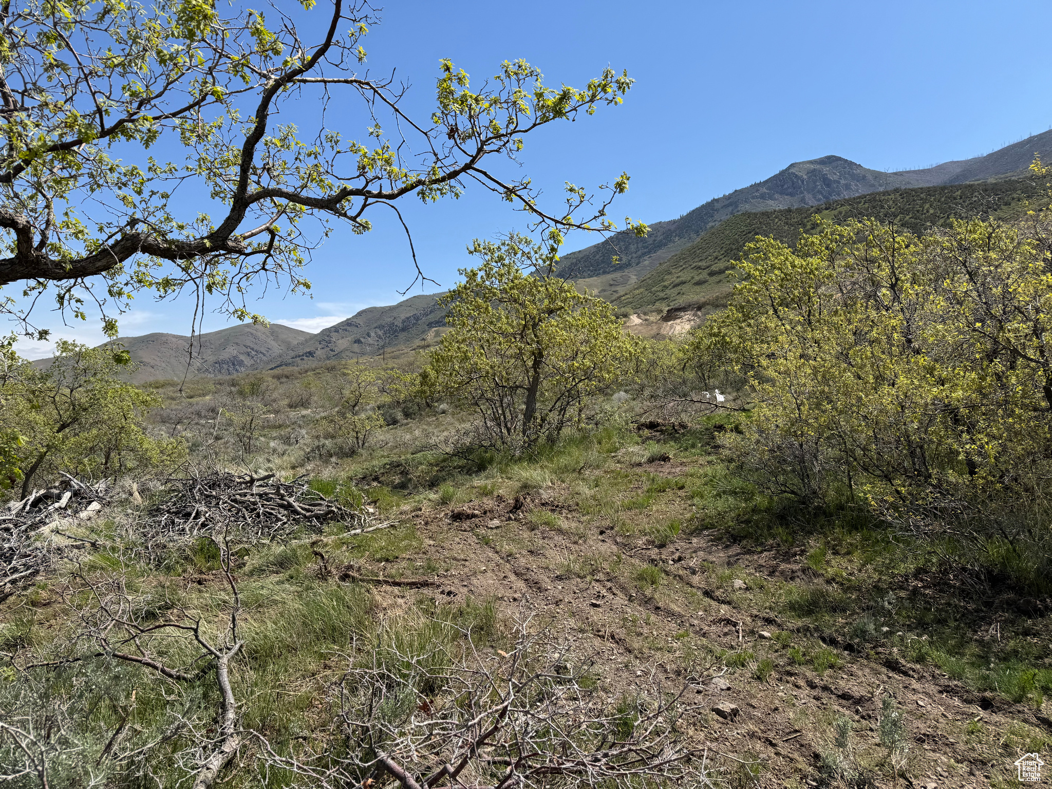 13200 198, Santaquin, Utah image 22
