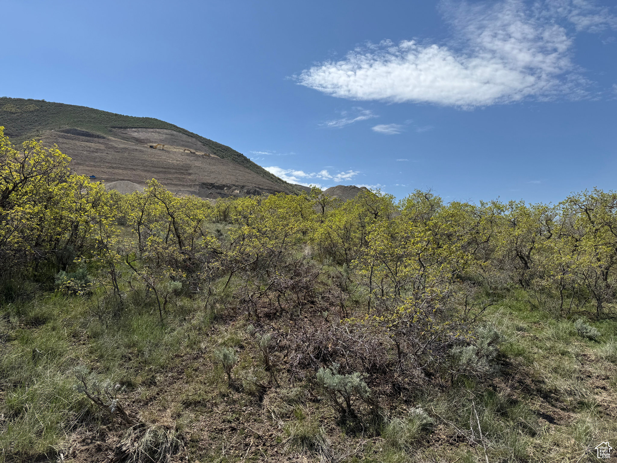 13200 198, Santaquin, Utah image 5
