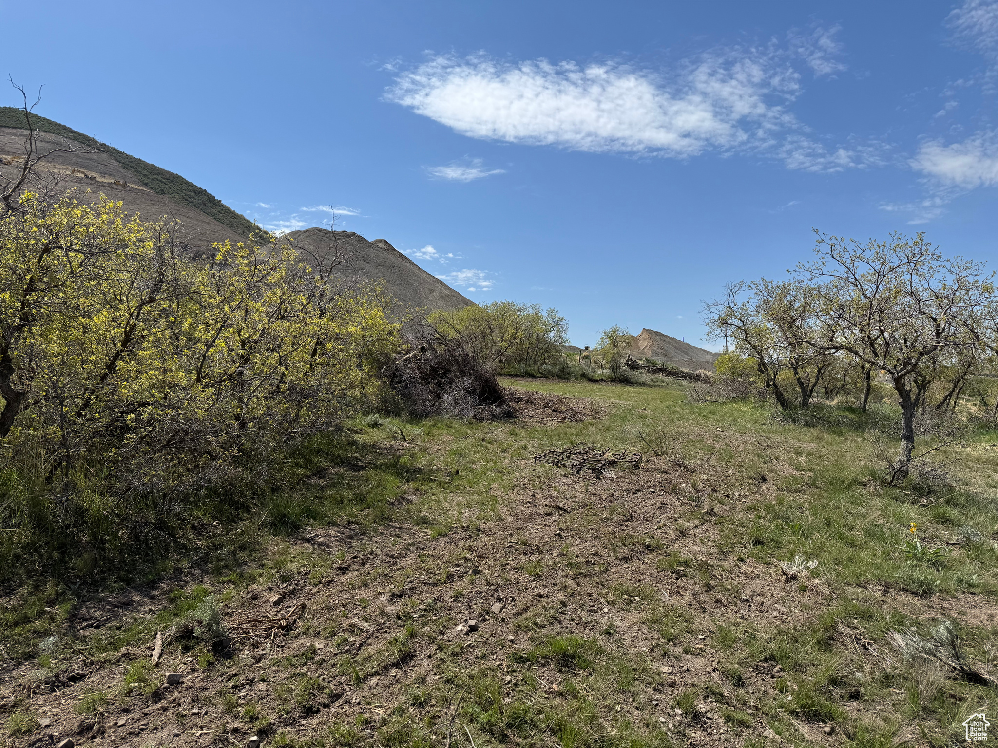 13200 198, Santaquin, Utah image 8