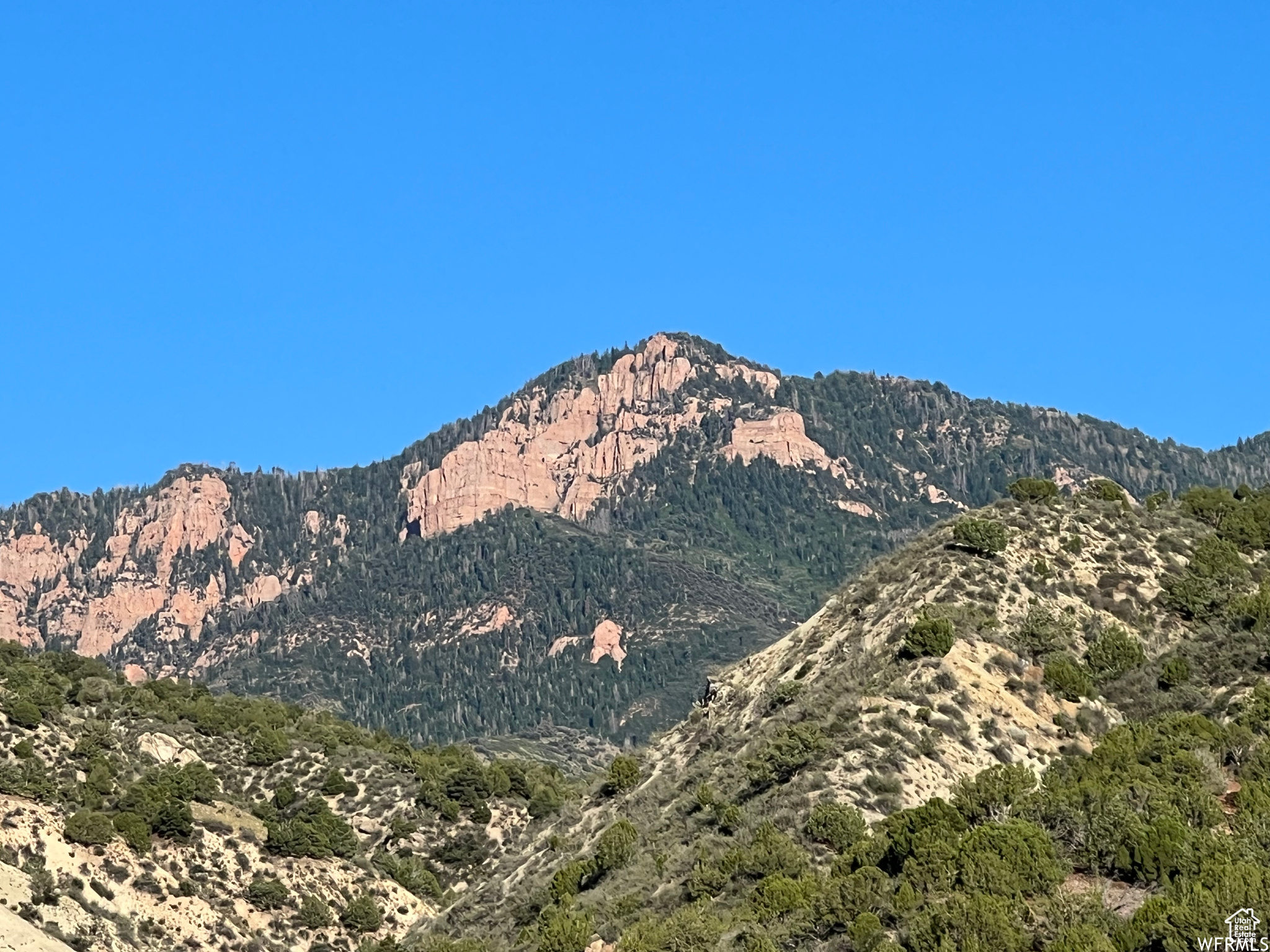 JAMESTOWNE SUBDIVISION - Land