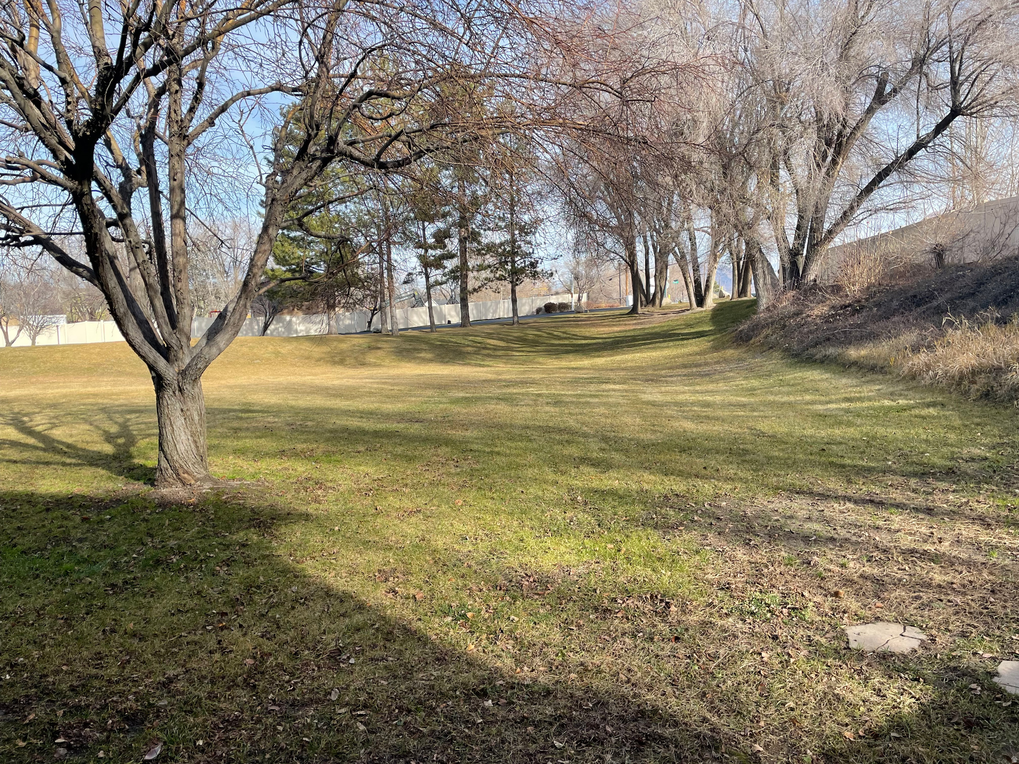 LDG 31 BRIARWOOD SPRINGS CONDMN - Residential