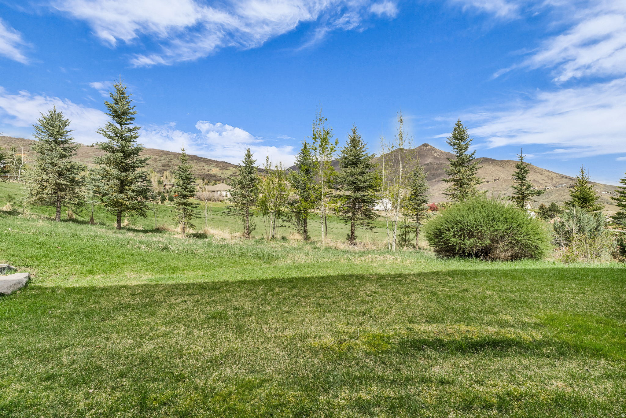 SWISS OAKS - Residential