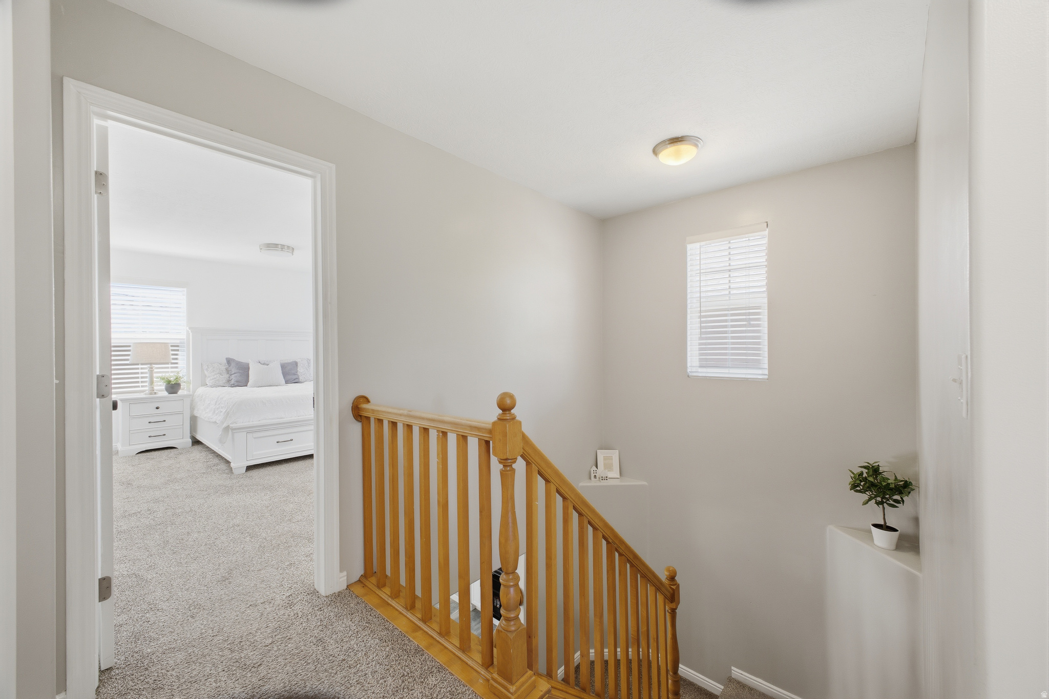 MONARCH MEADOWS - Residential