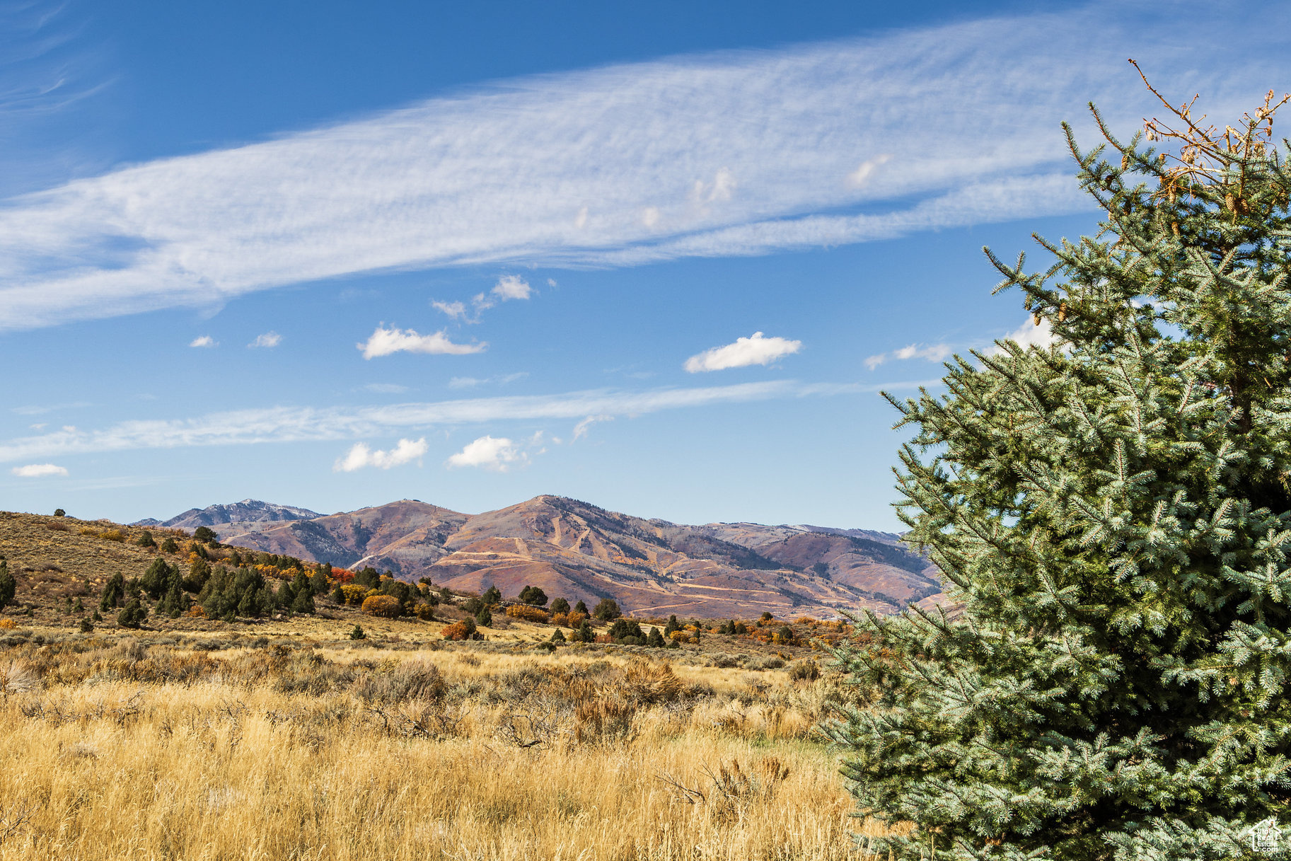 VICTORY RANCH - Residential
