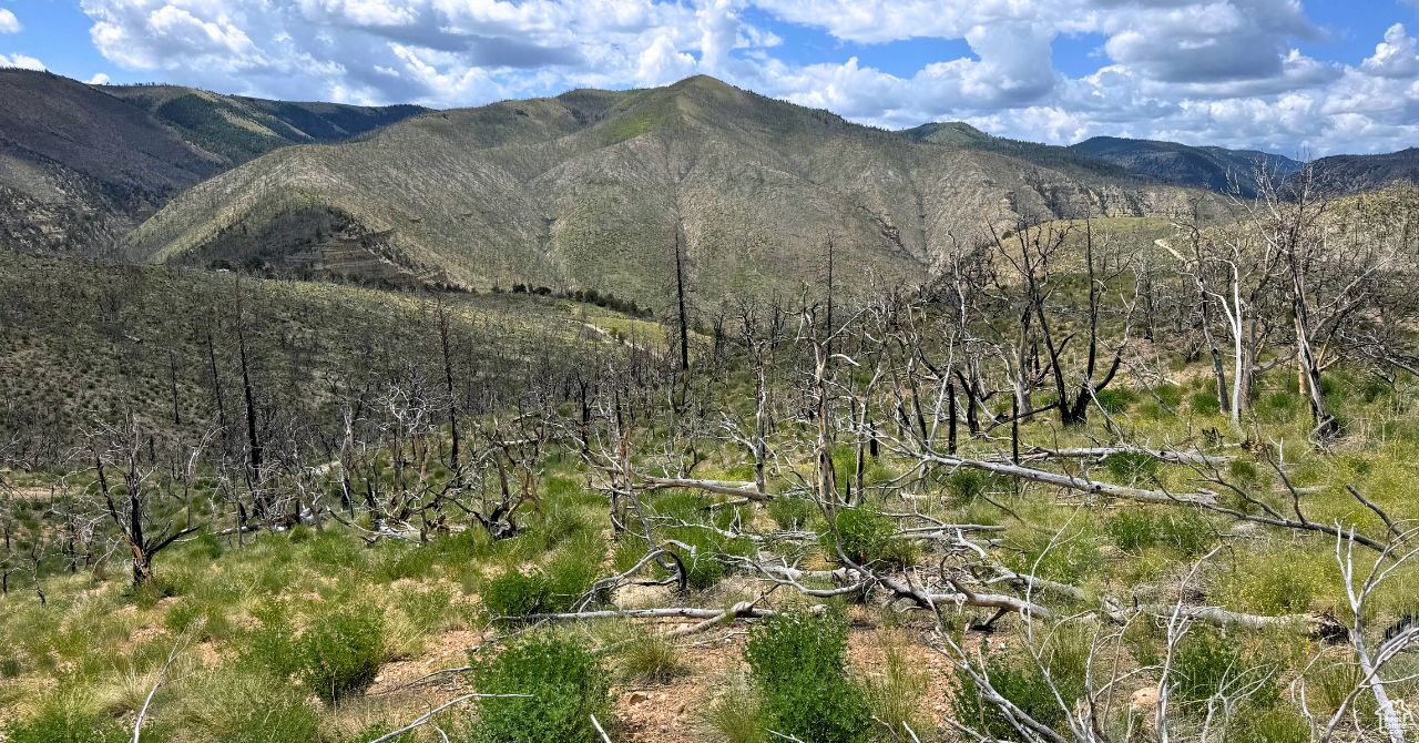RANCHES AT PINNACLE HILLS - Land