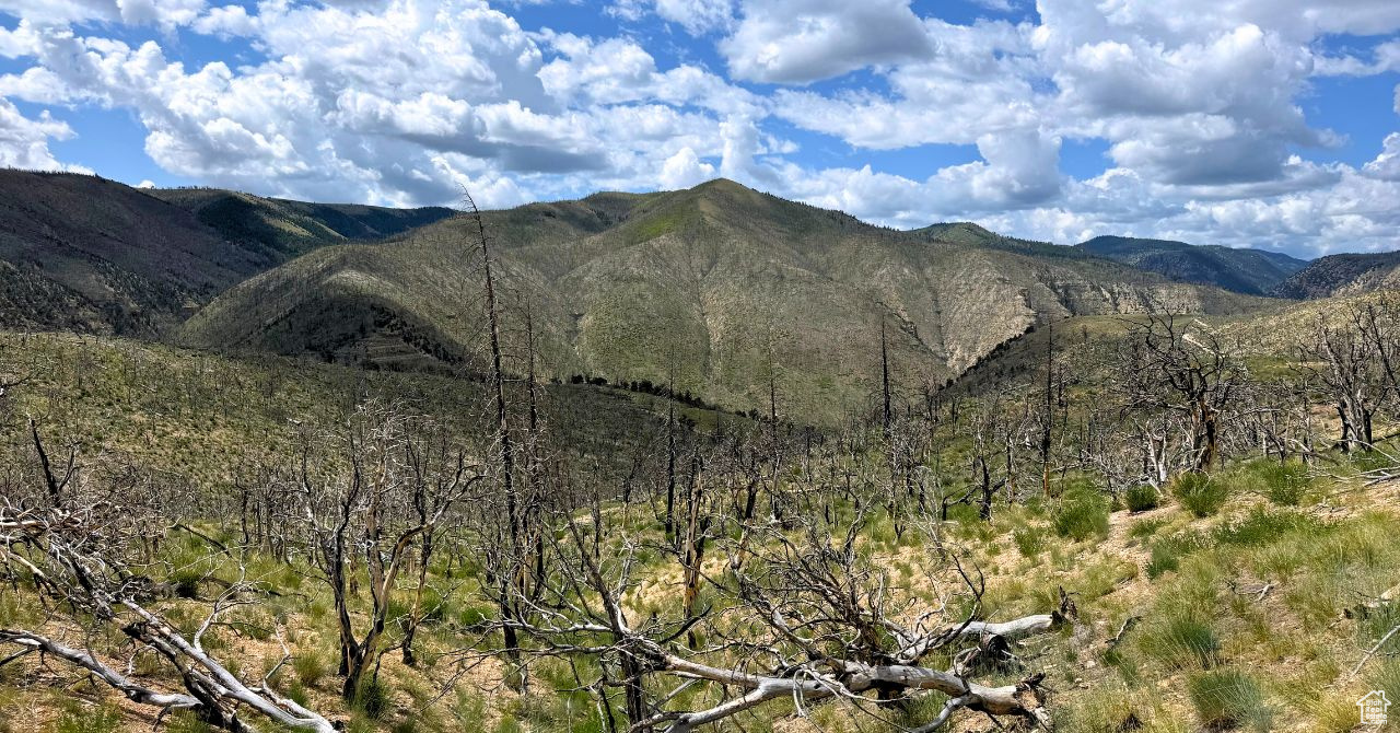 RANCHES AT PINNACLE HILLS - Land