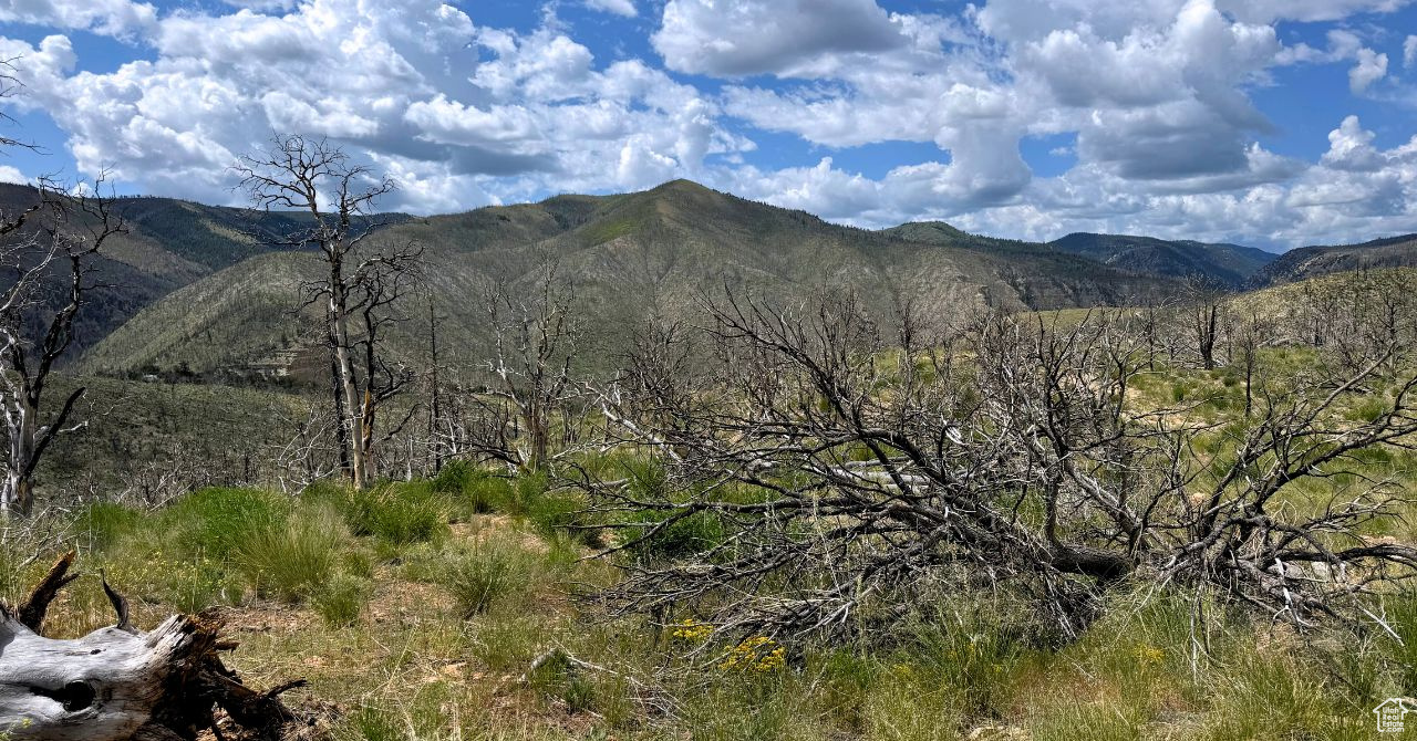 RANCHES AT PINNACLE HILLS - Land