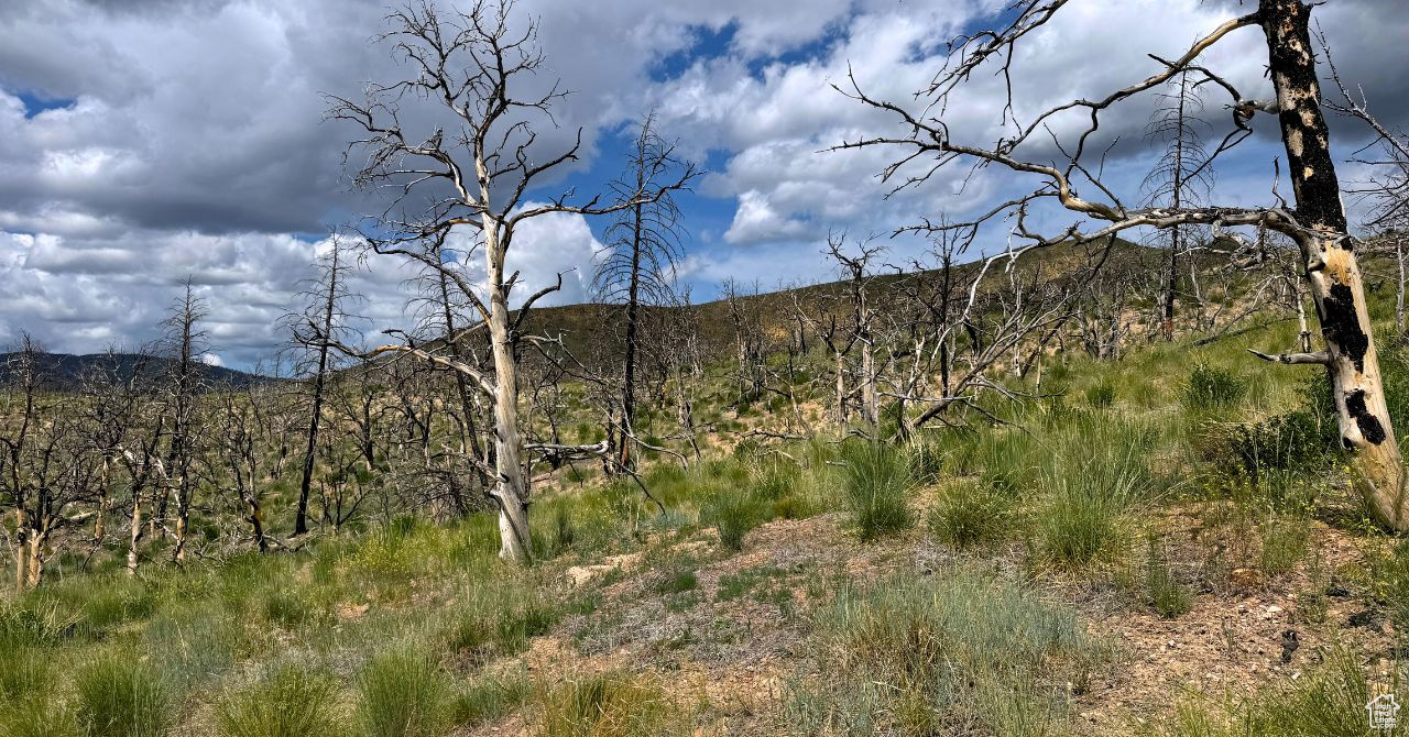 RANCHES AT PINNACLE HILLS - Land