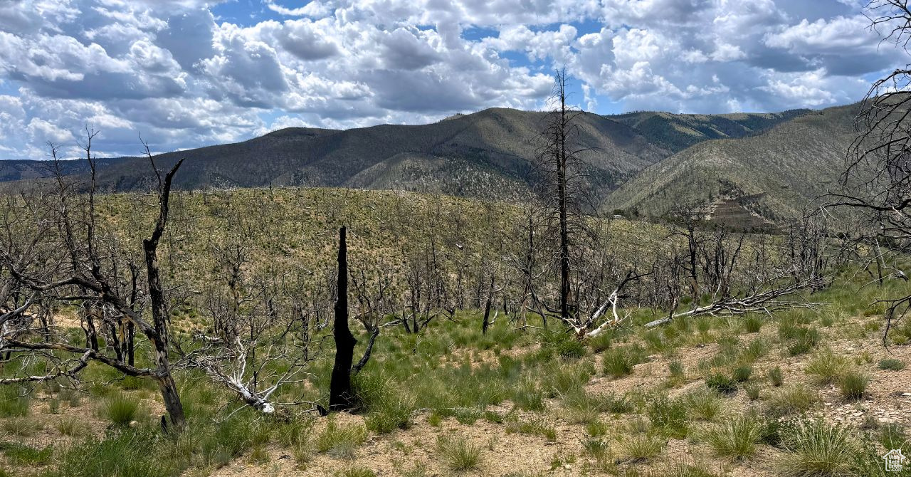 RANCHES AT PINNACLE HILLS - Land