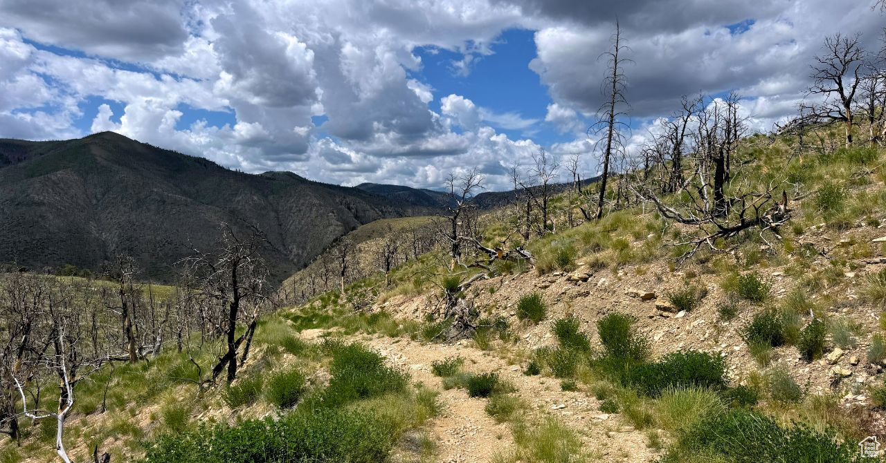 RANCHES AT PINNACLE HILLS - Land