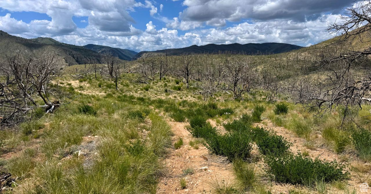 RANCHES AT PINNACLE HILLS - Land