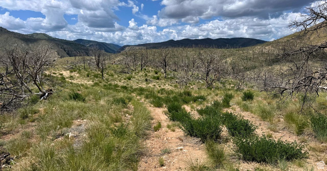 RANCHES AT PINNACLE HILLS - Land