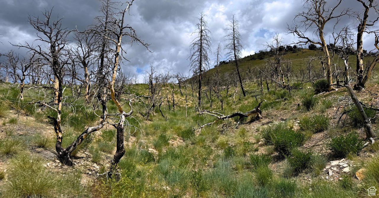 RANCHES AT PINNACLE HILLS - Land