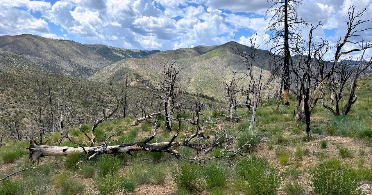 RANCHES AT PINNACLE HILLS - Land