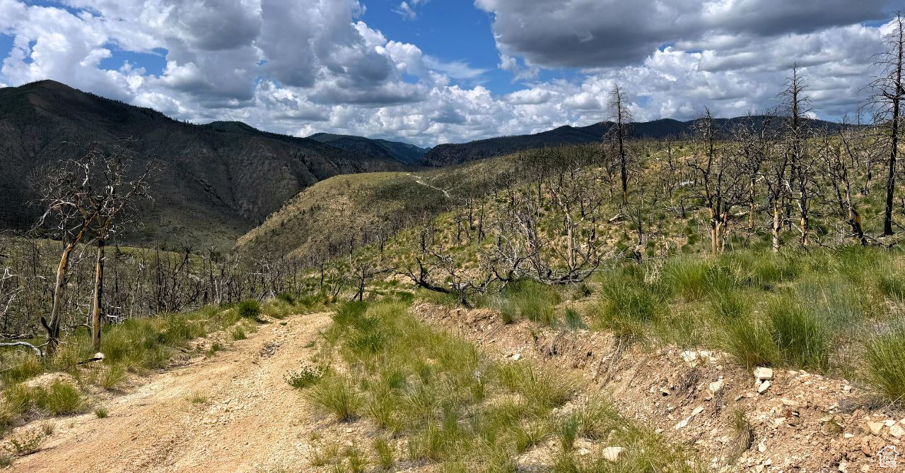 RANCHES AT PINNACLE HILLS - Land