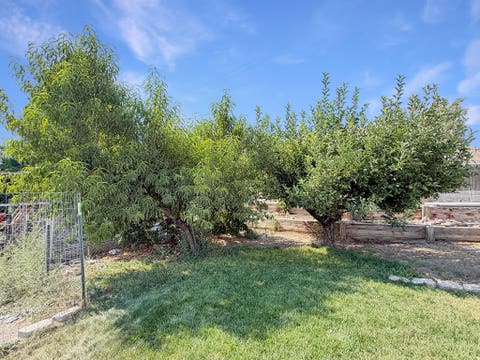Tiny photo for 615 N ELM ST, Orangeville, UT 84537 (MLS # 2176900)