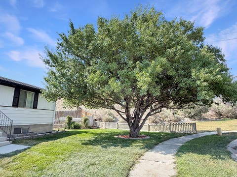 Tiny photo for 615 N ELM ST, Orangeville, UT 84537 (MLS # 2176900)