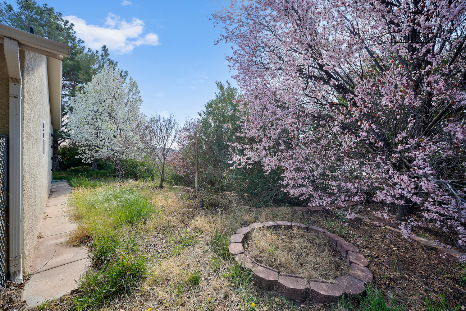 DIXIE COVE - Residential