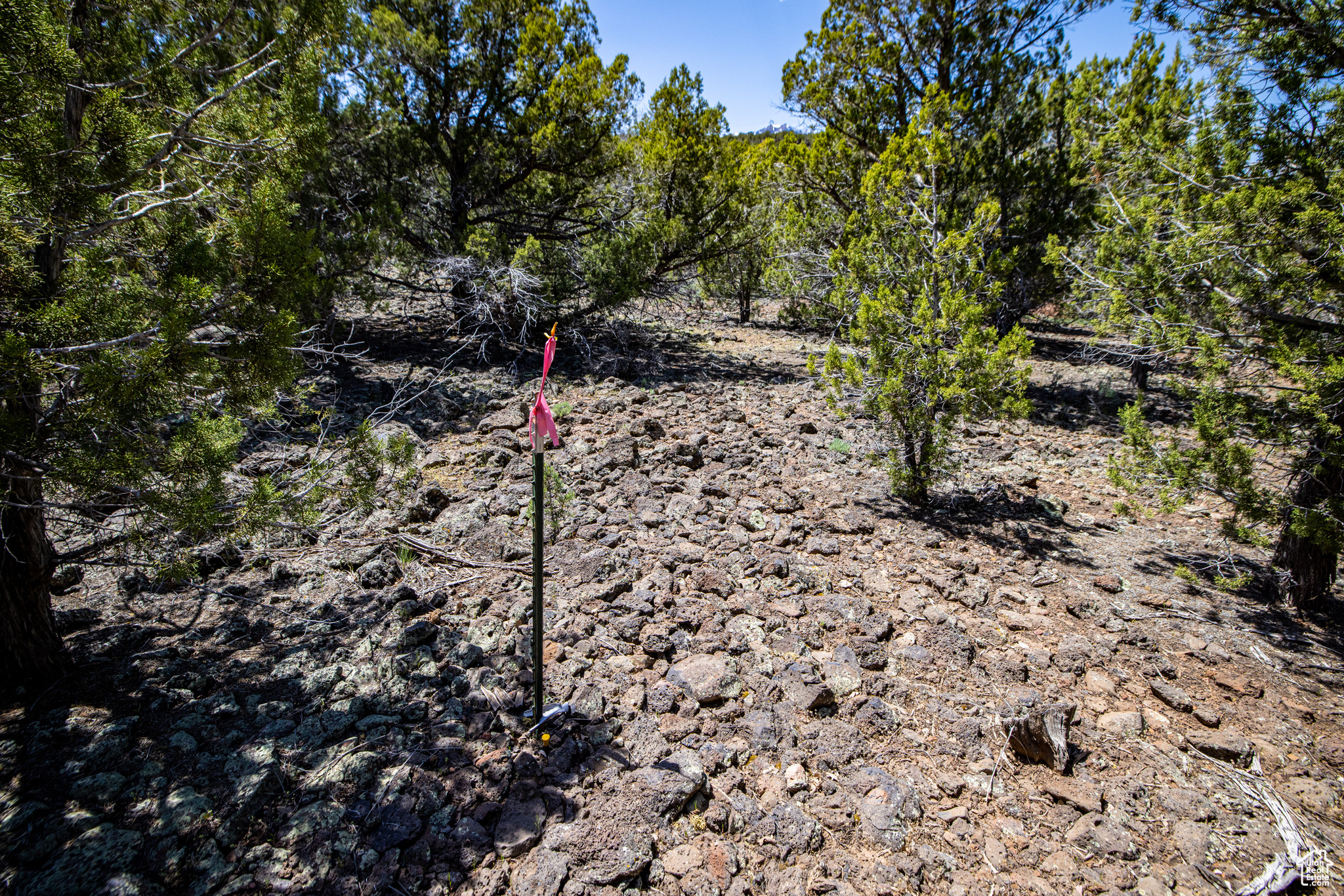 3543 Juniper Way #316, New Harmony, Utah image 11