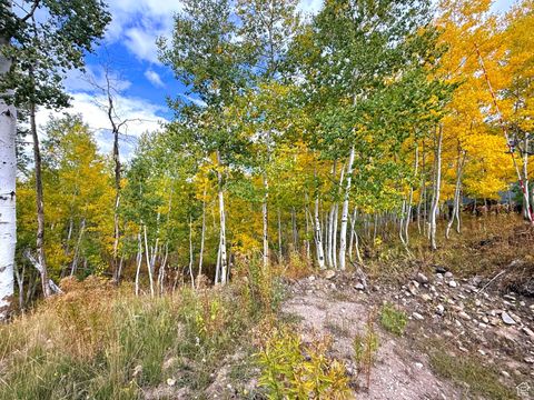 Tiny photo for 4519 S FAWN WAY #2051, Heber City, UT 84032 (MLS # 2113083)