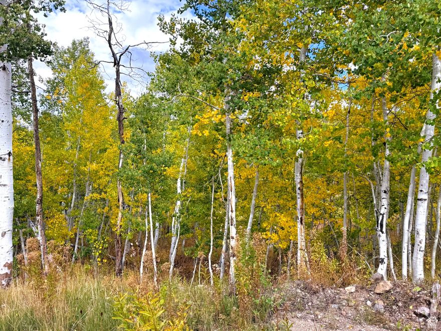 Fabulous upper mountain lot in Timber Lakes ready for your cabin retreat dreams to become reality! Loaded with aspens and pines this spacious lot provides shade and privacy backing to dedicated open space with meadow and mountain views. Bring your own builder and create your weekend getaway or full time living paradise! Timber Lakes offers peace of mind with gated and secured access and winter road maintenance. Several lakes and ponds are sprinkled throughout the development with many trails and close access to Forest Service land. Easy access to Heber City and many amenities. Timber Lakes entrance is located just 58 miles from Salt Lake International Airport, and 11 miles from Heber City Airport. Just minutes from Deer Valley East Village, Park City Mountain, Wasatch State Park, 4 reservoirs and the Uintah Mountains! Buyer to verify all.