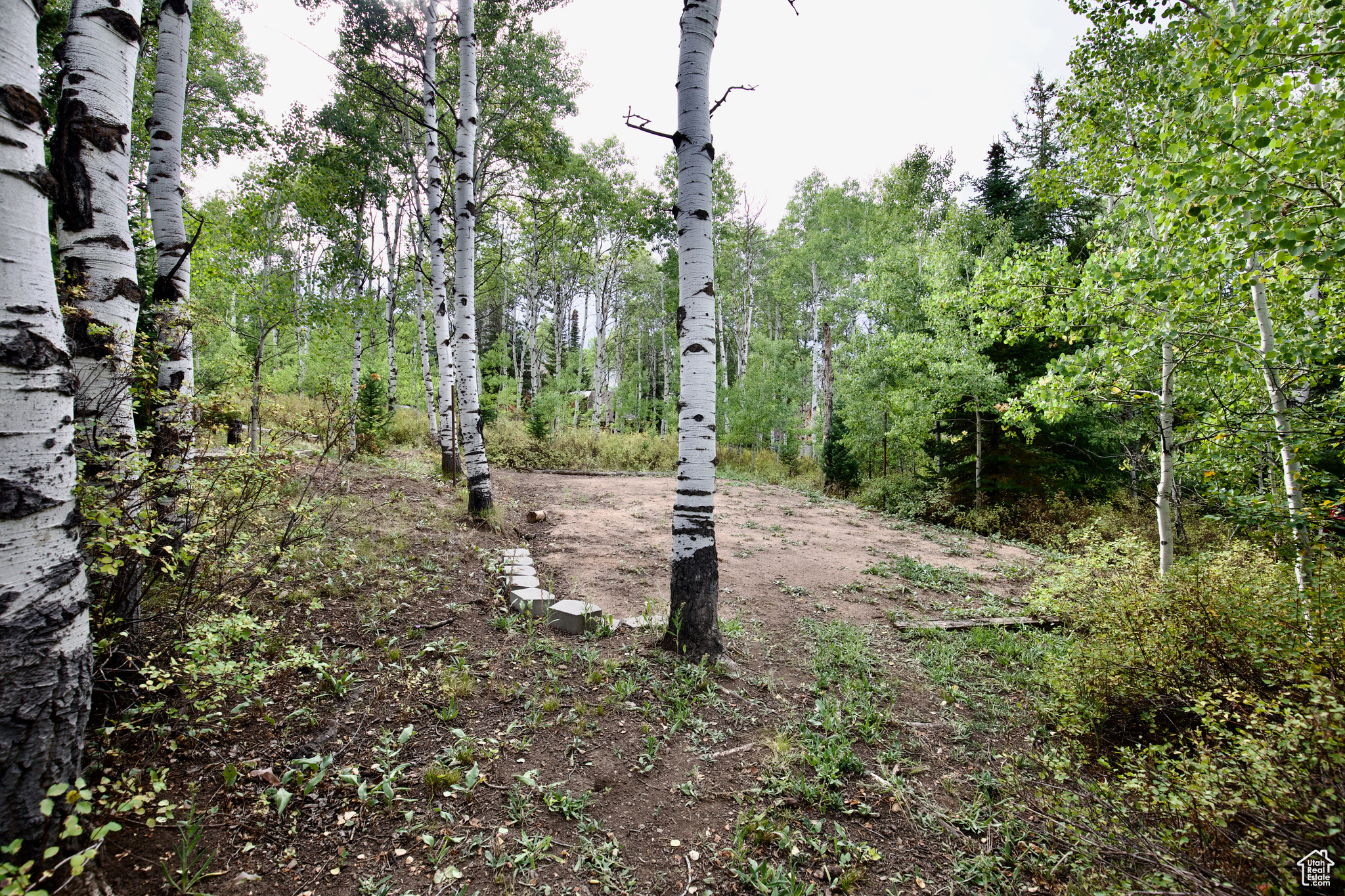 PINE MOUNTAIN - Residential