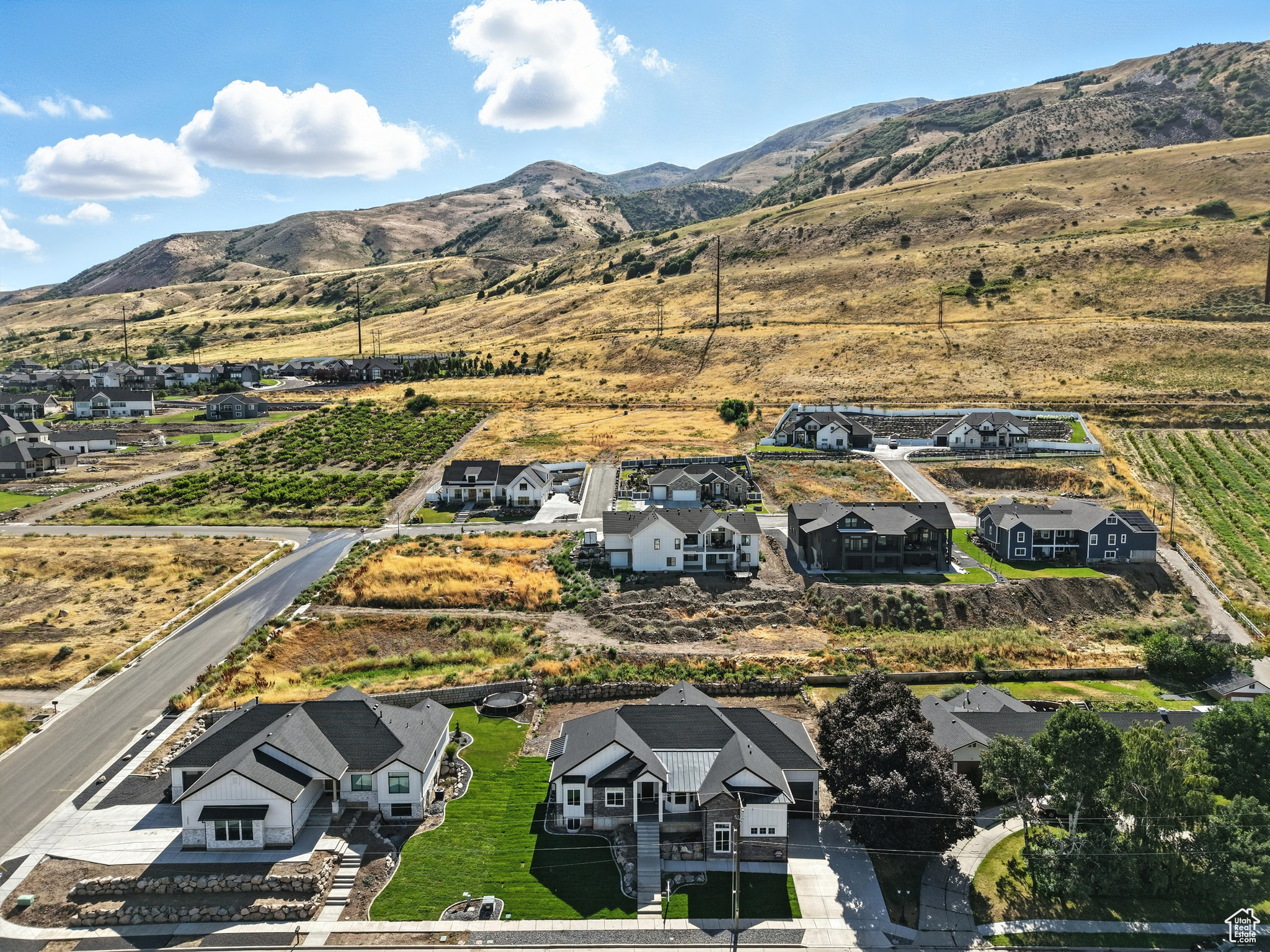 MOUNT PLEASANT - Residential