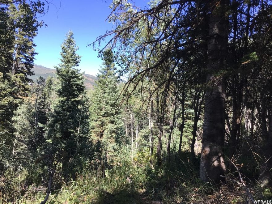 Build your mountain dream home on this secluded Forest Meadows lot, surrounded by towering pines, quaking aspens, and mature oak trees. If privacy is what you're after, this parcel delivers-quiet, peaceful, and tucked into nature.  The property offers two potential driveway access points and multiple possible building pads, giving you flexibility in designing your ideal layout. Major prep work has already been completed:  Water connection fee to Pine Meadow Mutual Water Company is paid  Perc test has been done/expired   Soil stabilization study completed    House plans available This lot is truly ready to build. Claim your piece of mountain living and start your adventure today.