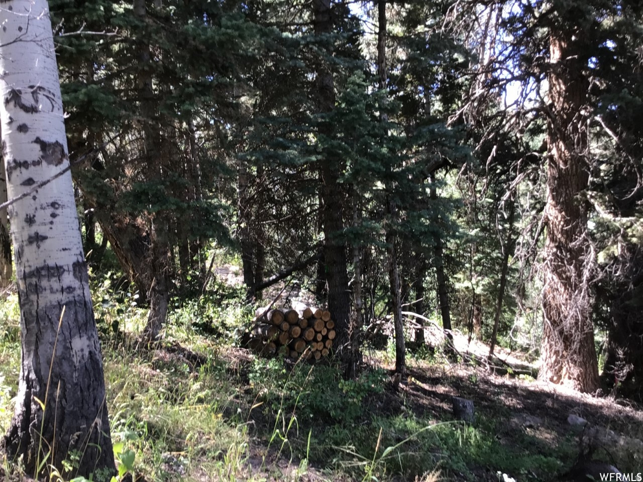 FOREST MEADOW RANCH - Land