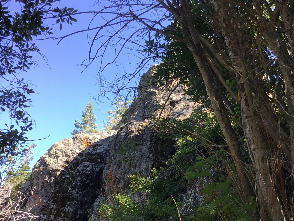 FOREST MEADOW RANCH - Land
