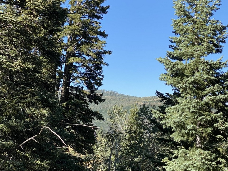 FOREST MEADOW RANCH - Land
