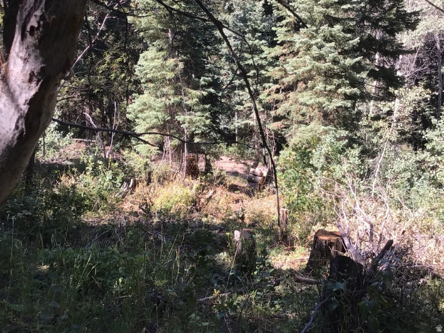 FOREST MEADOW RANCH - Land