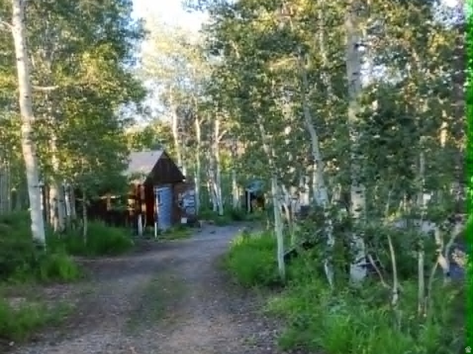 Gravel driveway surrounded by mature trees, leading to a rustic cabin with a brown facade and dark roof