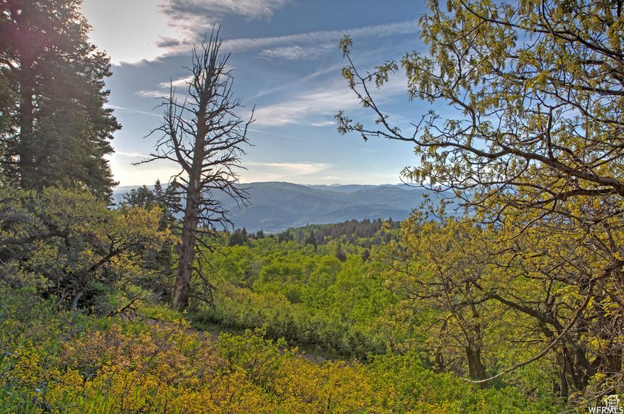 Exceptional 3.51-acre homesite offering ample space and flexibility to build your dream mountain retreat. Design your primary residence of any size, plus a guest house and a detached garage up to 2,000 sq ft. Enjoy panoramic, unobstructed mountain views with no neighboring cabins in sight from your cabin. Year-round access with two roughed-in pull-through driveways-no need to turn around. Power transformers already in place at two locations. Water options include drilling your own well or purchasing a share of Deer Meadows Water Co., both of which allow outdoor watering-a significant benefit over Pine Meadow Water. Weber Basin water share included. Desirable southern exposure provides optimal winter sun and is ideal for solar power systems. A rare opportunity in scenic Tollgate Canyon